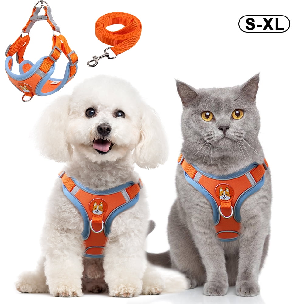 Harnais Chat Chien Anti-Fugue — antifugue, chat | Boutique NAYA