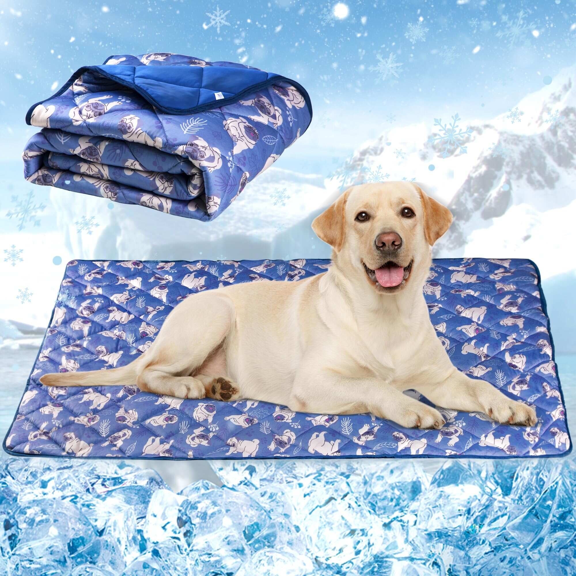 Tapis Rafraîchissant Été Chien — chien, ete | Boutique NAYA