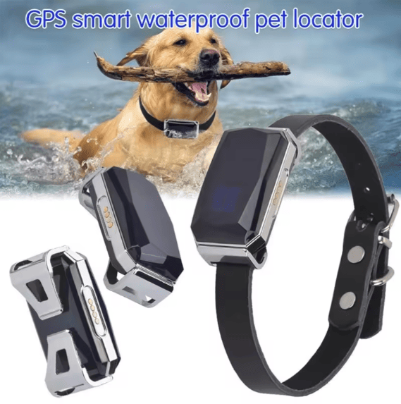 GPS Collar Tracker Chien Chat — chien, collar | Boutique NAYA