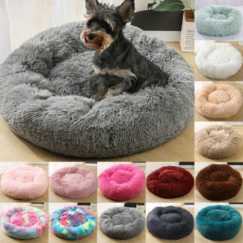 Lit Donut Chien Chat Peluche — chat, chien | Boutique NAYA